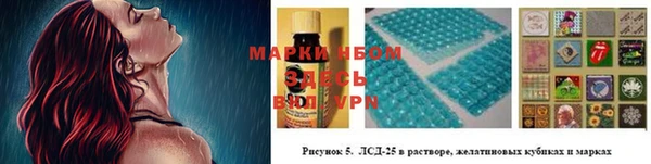 apvp Алексин