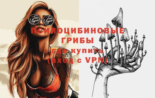 гидропоника Алзамай