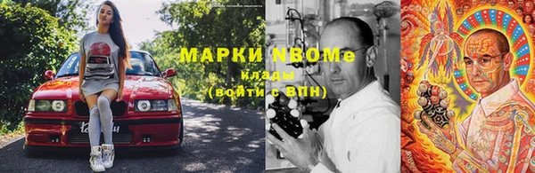 apvp Алексин