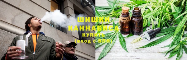 гидропоника Алзамай